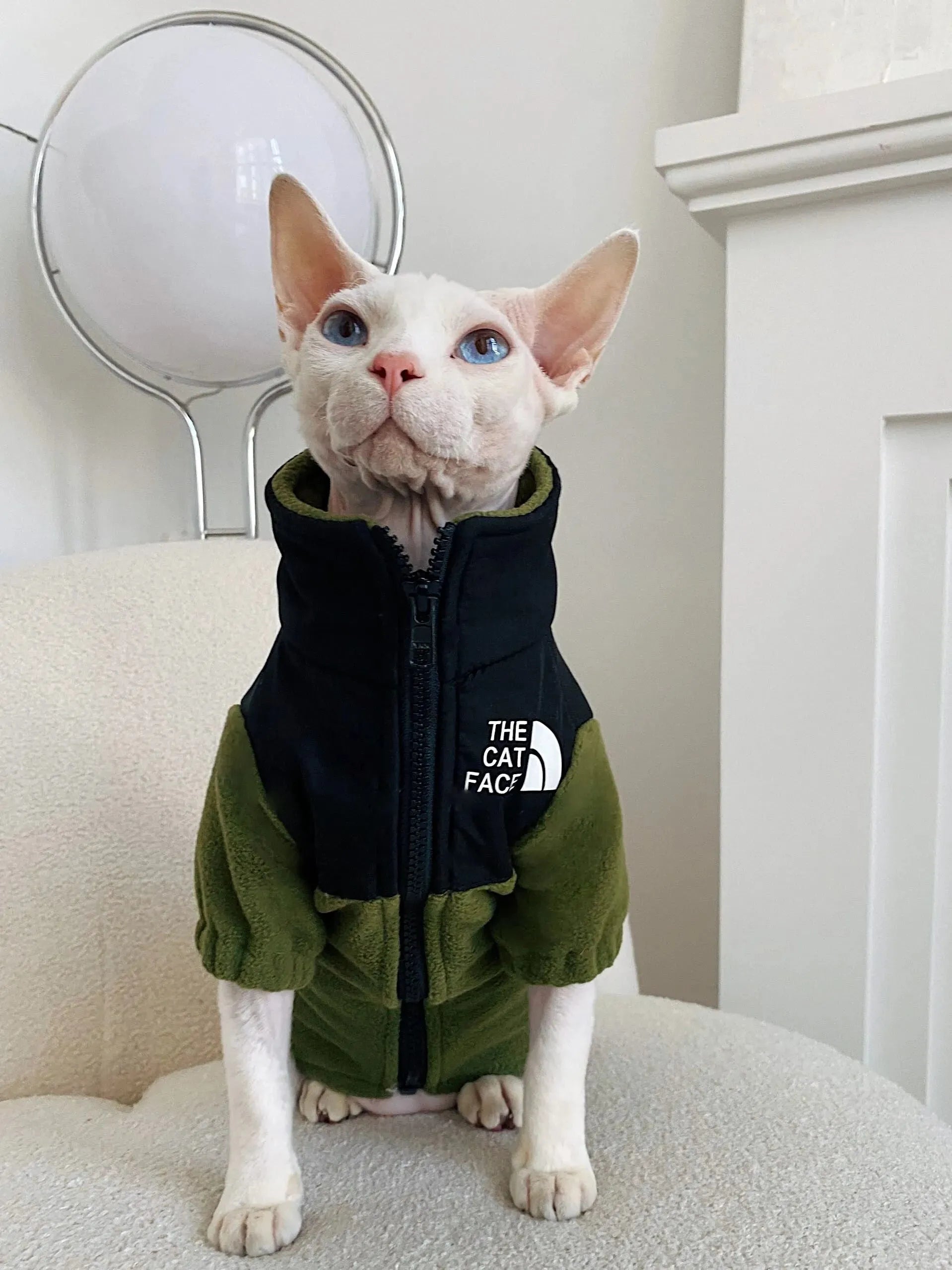 Hairless Cat Clothes Warm Pet Cat Clothes - Bellarte Enchanté Hairless Cat Clothes Warm Pet Cat Clothes